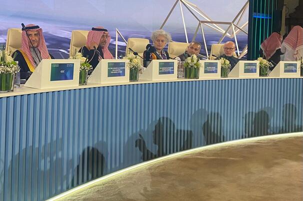 All G20 members were present at this year's roundtable.