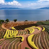 Solid progress in China's green development in 2021-2025