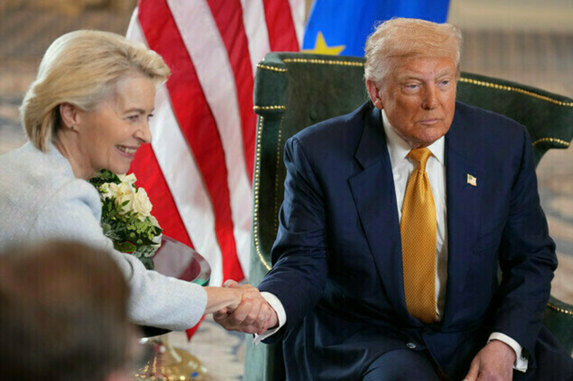 EUs $750bn energy pledge to US is fantasy  Politico