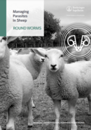 Managing parasites in sheep Roundworms