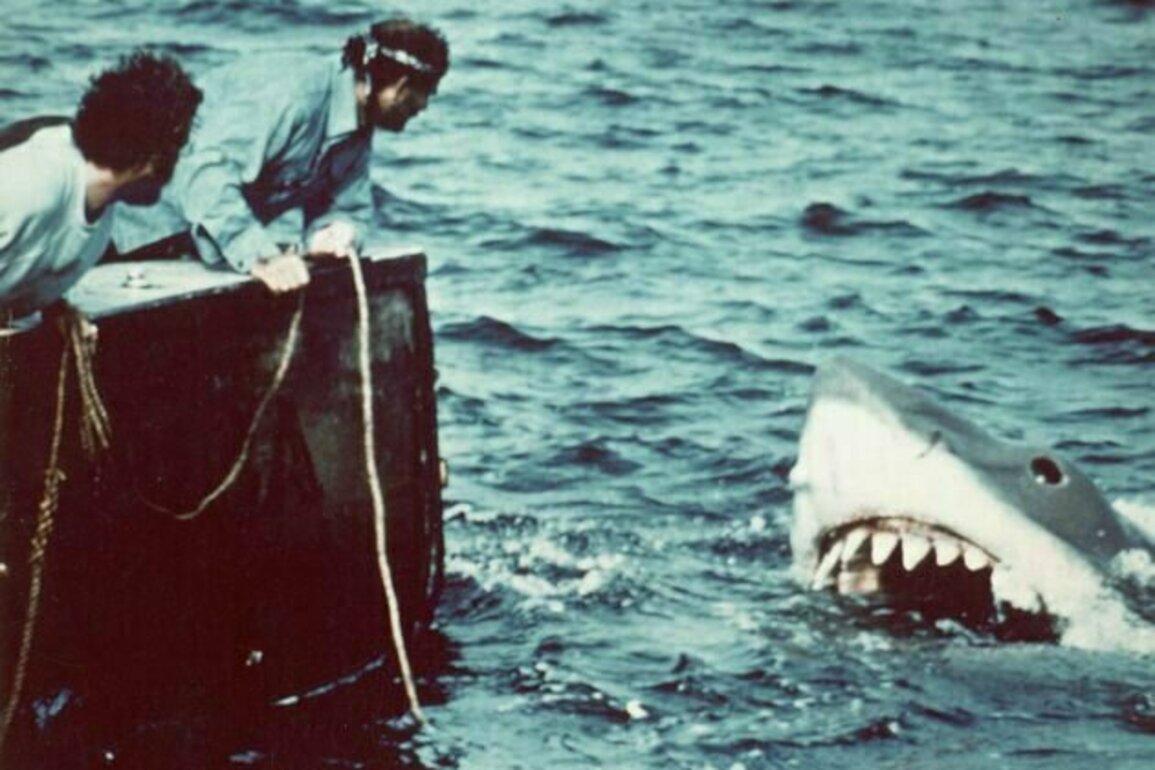 50 tahun film 'Jaws': Dari mitos hiu hewan bengis jadi pesona kehidupan laut