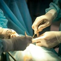Don't cut them out: lymph nodes may be key to cancer treatment