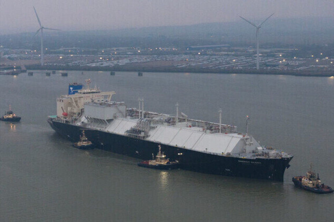 EU walking into high-risk dependency on US energy  think tank