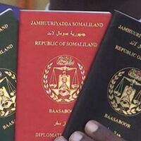 Court sends Somali man to jail for helping women to enter Ireland