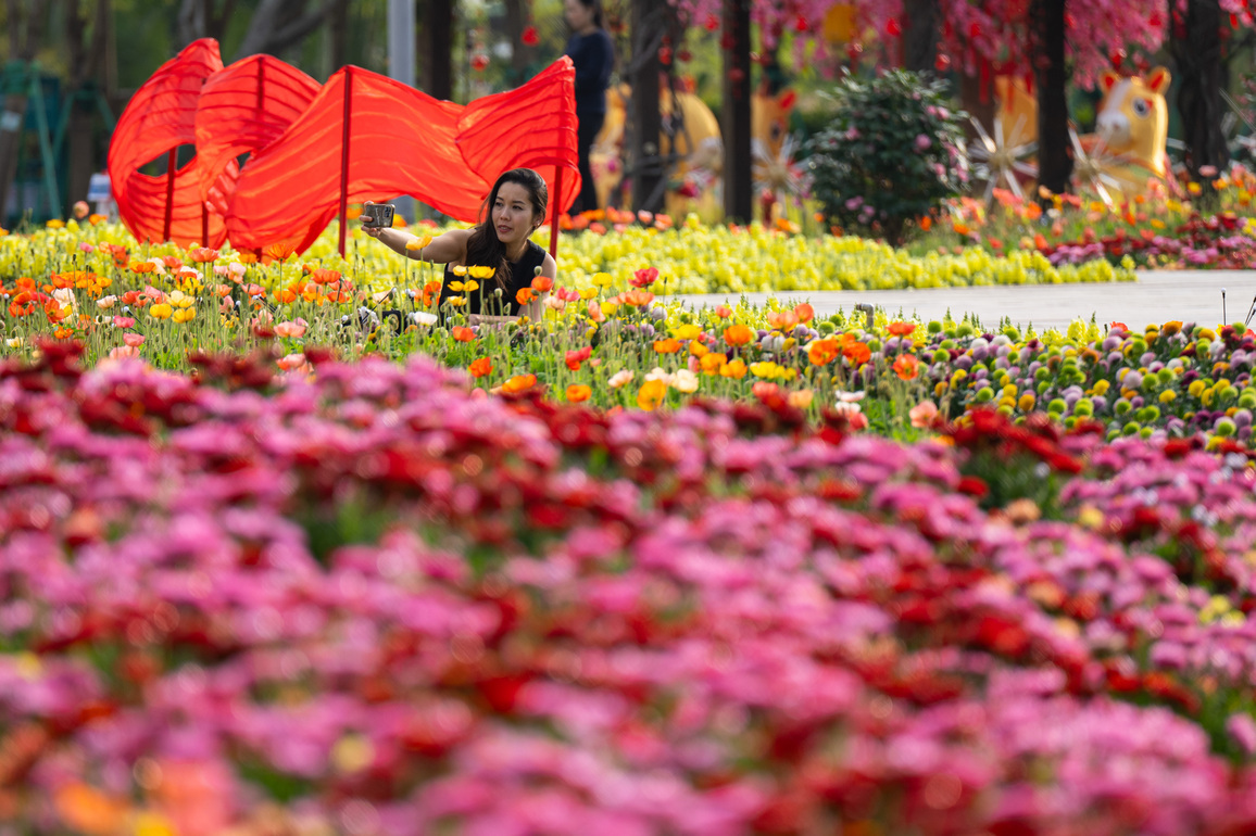 CHINA-MACAO-CHINESE NEW YEAR-FLOWER EXHIBITION (CN)