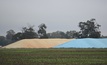  The latest wheat forecast from the CSIRO says yields will be better than average. Picture Mark Saunders.