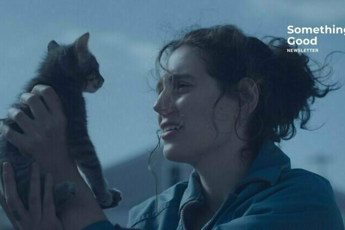#MeToo in the movies - what to watch, see and play this week