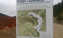 Perpetua Resources fish habitat retoration plan at Stibnite in Idaho, USA