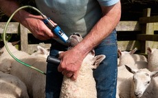 How EID technology can help in the fight against wormer resistance