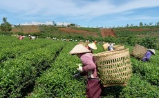 ResponsAbility raises $106m for climate-agri debt fund