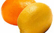 SA pulps citrus groups