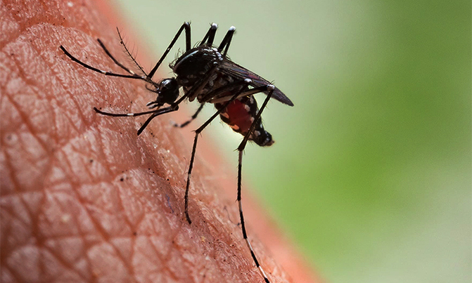 Rift Valley Fever confirmed in Kabale Rift Valley Fever confirmed in Kabale