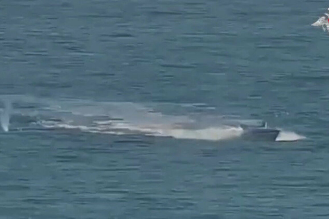 Russian forces destroy Ukrainian naval drones  MOD 