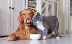 NVM invests £2m in Pure Pet Food