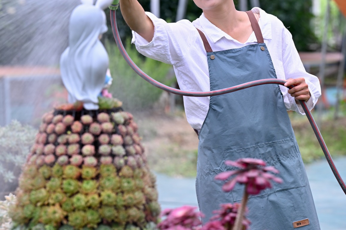 ChineseToday | Succulent enthusiast cultivates new path to prosperity in SE China's Fujian