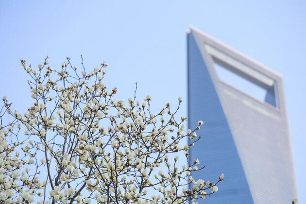 China's financial sector reports remarkable progress over 14th Five-Year Plan period