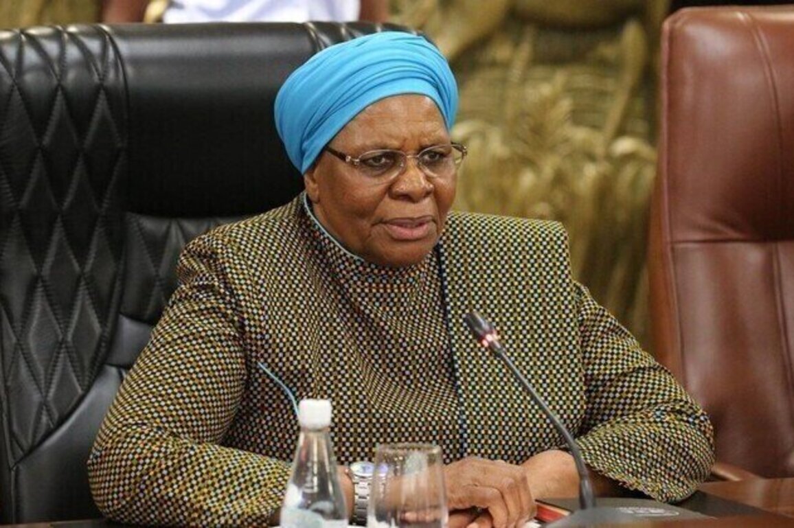 Namibia is determined to deepen ties with Russia  president