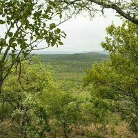 Land reform in South Africa: how one community set up a successful game reserve