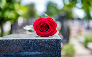 IT Essentials: RIP, Open Web