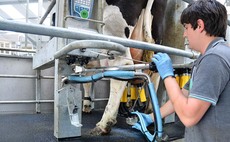 Competitive UK dairy sector needs skilled and professional workforce