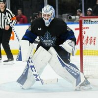 Maple Leafs ink G Dennis Hildeby to 3-year extension