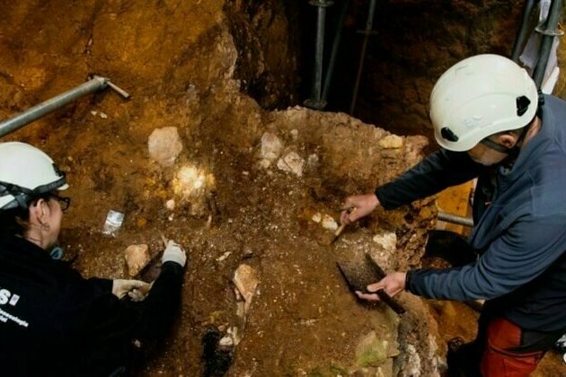 Archaeologists find million-year-old fossil of a human ancestor
