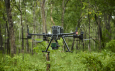 How Revalue is harnessing virtual reality to help carbon credit buyers 'visit' forests