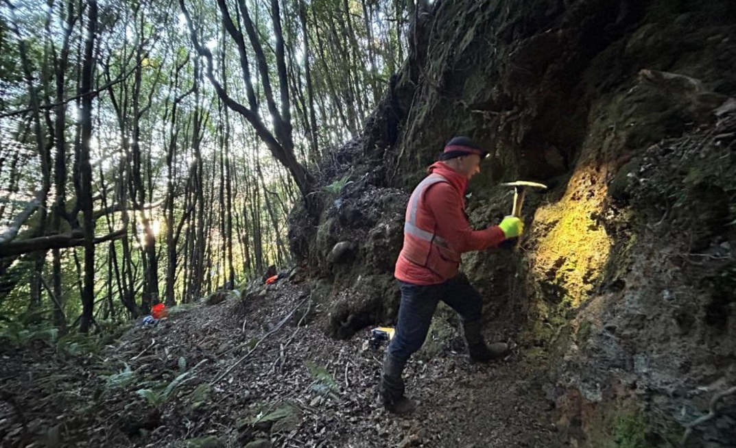 Uncovering the Langdon reef