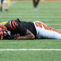 Bengals WR Tee Higgins (concussion) injured vs. Patriots