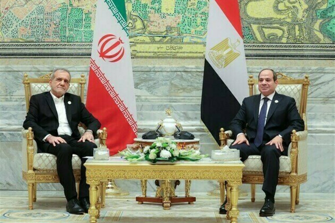 Iran, Egypt Stress Islamic Unity, Eye Stronger Bilateral Ties