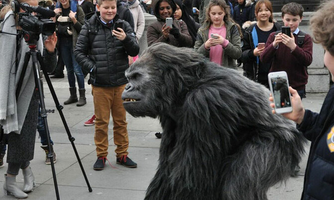 Ugandan 'gorilla' excites London Ugandan 'gorilla' excites London