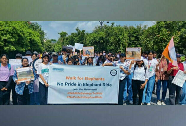 End Elephant Rides, urges World Animal Protection during Citizens' Walk to Rajasthan Chief Minister on occasion of World Elephant Day