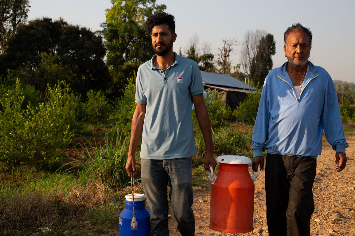 Members of Nepal's Middle East diaspora return home to invest in agriculture, dairy farming after govt policy tweak