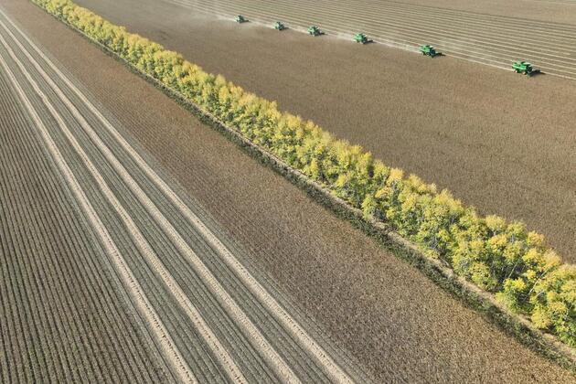 Update: China issues 5-year plan for agricultural, rural modernization