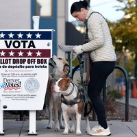 Trump gets everything wrong about Constitution, mail-in-voting (Opinion)