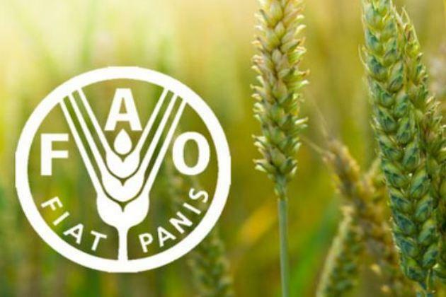 FAO, EU provide digital technologies to boost land management in Kenya