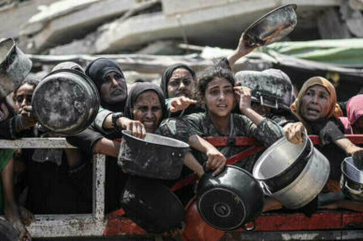 Genocide in Gaza would have taken 'one afternoon' - Netanyahu