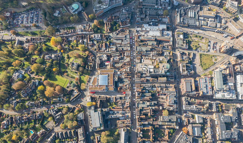 (C) Gorma Kuma / Shutterstock