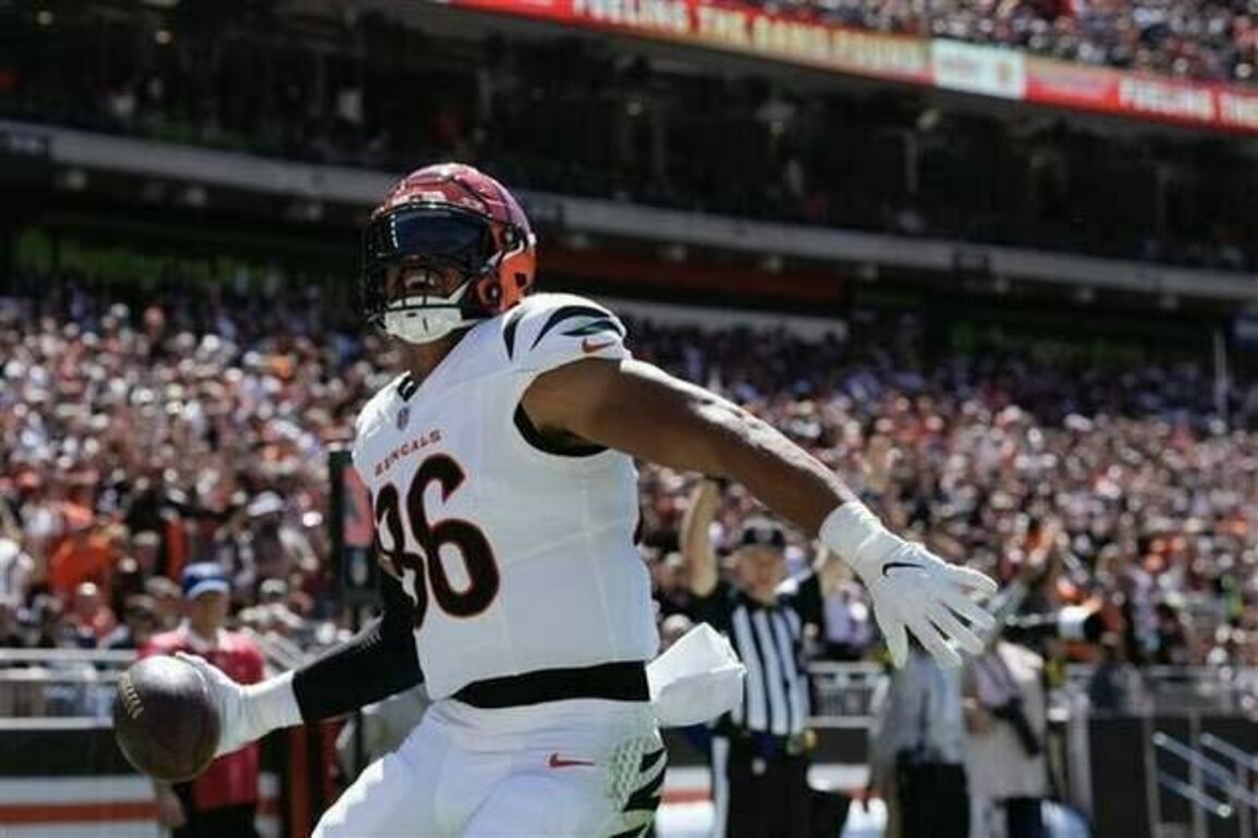 Bengals TE Noah Fant clears concussion protocol, set to return Sunday
