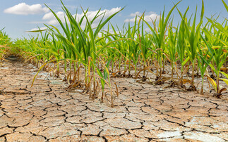 Public urged to think about water use in order to protect farming