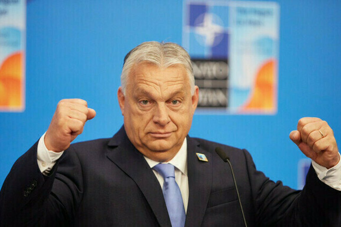 Russia has won the war - Orban