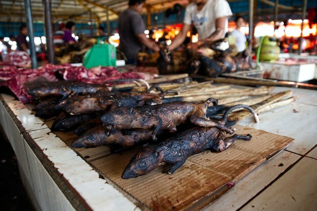 Banning wild meat is not the solution to reducing future disease outbreaks
