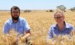  AGT’s Dion Bennett and Alana Hartley are excited about the AH quality classification granted to new wheat variety Catapult. Picture courtesy AGT.