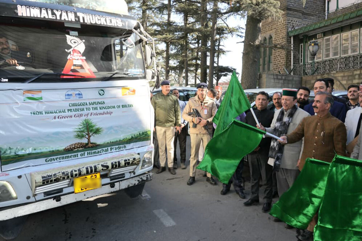 Himachal government gifts Chilgoza saplings to Bhutan; CM Sukhu flags off vehicle