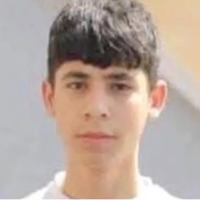 IDF shoots dead teenager at point-blank range