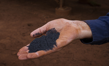 Magnetitie concentrate from Iron Bridge