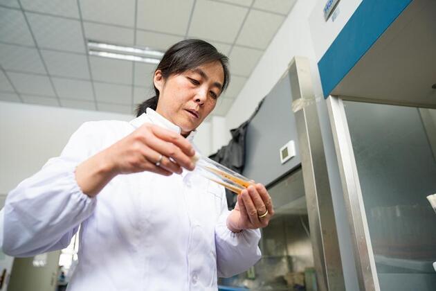 National labor medal recipient revives plateau flavors with microbial technologies