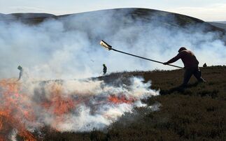 Wildfire partnership urged after Green Cleugh Blaze threatened Pentland Hills