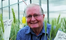 Global germplasm resource puts cereal breeders in fast lane