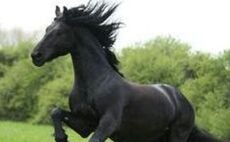 CEE: The dark horse of private equity
